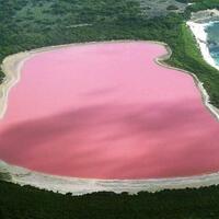 misteri-danau--pink--hillier-di-australia