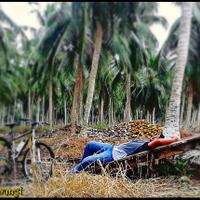 nongkrong-bareng-candid-photography