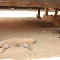 yamaha-byson-on-kaskus-boss---part-3