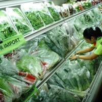 penyebab-produk-pertanian-cina-lebih-murah-daripada-produk-lokal