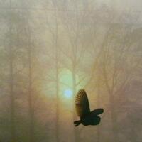 tips-trik-wajib-dicoba