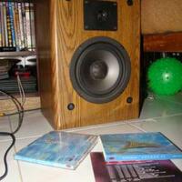 mohon-saran-ane-pengen-renovasi-speaker