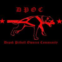 the-american-pitbull-lover039s---part-4