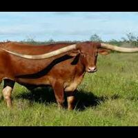 kids--parenting-forum-s-lounge