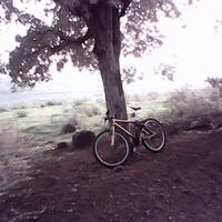 post-image