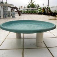 semua-tentang-kolam-ikan