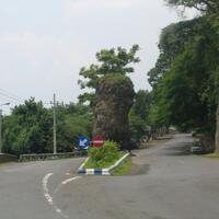 watu-dodol-gerbang-utara-kabupaten-banyuwangi
