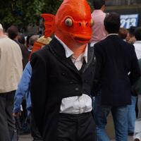 yu-gi-oh-ygopro-kaskus-cybergame-network---automatic-dueling-system