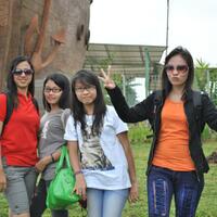 macan-co-jomblo-kesepian-boleh-masuk-hahaha