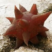 lounge-saung-kebun-ft---tempat-obrolan-warga-kampung-ft