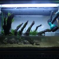 aquascape-for-everybody-learning-and-sharing