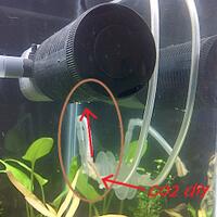 aquascape-for-everybody-learning-and-sharing