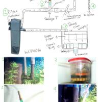 aquascape-for-everybody-learning-and-sharing