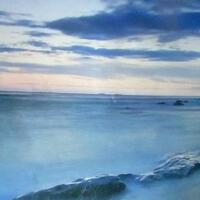 info-kecil-cameracoid