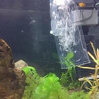 aquascape-for-everybody-learning-and-sharing