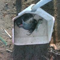 satria120ers-suzuki-satria-120-riders---part-4