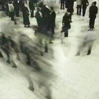 info-kecil-cameracoid