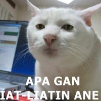 kumpulan-gambar-lucu-share-disini-gan