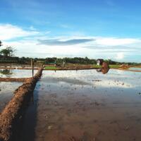 nongkrong-bareng-yang-masih-amatiran-dan-newbie---part-4