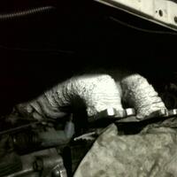 toyota-starlet-owner