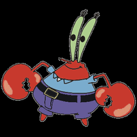 kepiting-raksasa-yang-hampir-dimasak-ini-berhasil-diselamatkan