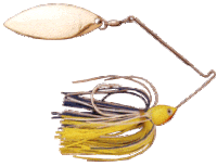 lounge-penghuni-kaskus-fishing-community