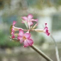 nongkrong-bareng-analog---film-camera---part-4