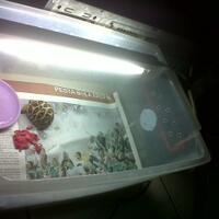 tampilkan-kura-anda---part-2