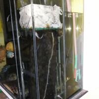 filter-ask-n-sharing---part-1