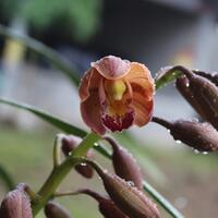 nongkrong-bareng-macro-micro-photography