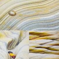 info-kecil-cameracoid