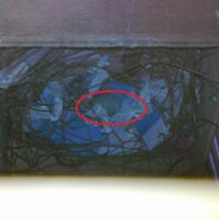 sharepecinta-kenari--jenis-finch-lain-blackthroat-engasr-mozambik-kumpul-disini---part-1