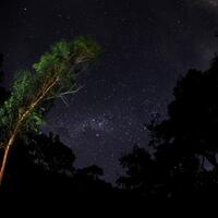 alun-alunnya-nikonian---part-10