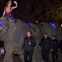 gajah-sirkus-tertembakmissisipi