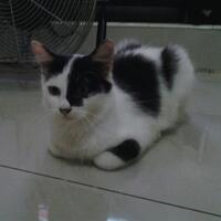 kasian-banget-newbie-ini-ketipu-12juta-di-fjb