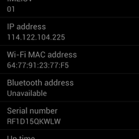 official-lounge-samsung-galaxy-siii-mini---i8190