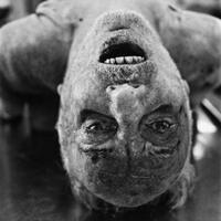 share-koleksi-gambar-horror