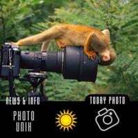 info-kecil-cameracoid