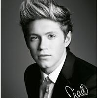 quotfatcs-about-niall-horan---one-directionquot