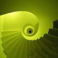 info-kecil-cameracoid