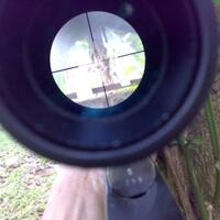 komunitas-kosakus---komunitas-senapan-dan-pistol-angin-kaskus