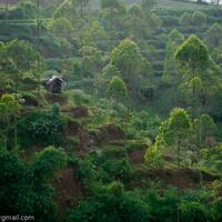 pentax-village---part-3--the-legend-still-continues