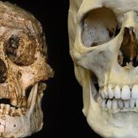 4-manusia-liliput-ini-dilaporkan-pernah-ada-di-indonesia