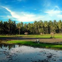 gak-cuma-jakarta-yang-macet-foto-foto-macet-di-beberapa-kota-di-indonesia-gan