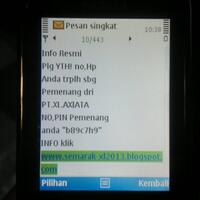 sms-penipuan-xlpalsu-gan