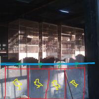 lounge-tempat-chit-chat-burung-burung---part-1