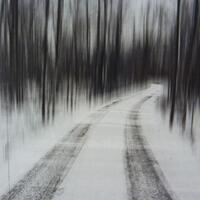 info-kecil-cameracoid