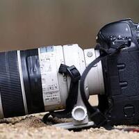 info-kecil-cameracoid