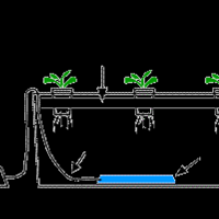 all-about-hidroponik