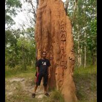 saya-bangga-lahir-di-kota-yang-rumah-semutnya-segede-gini